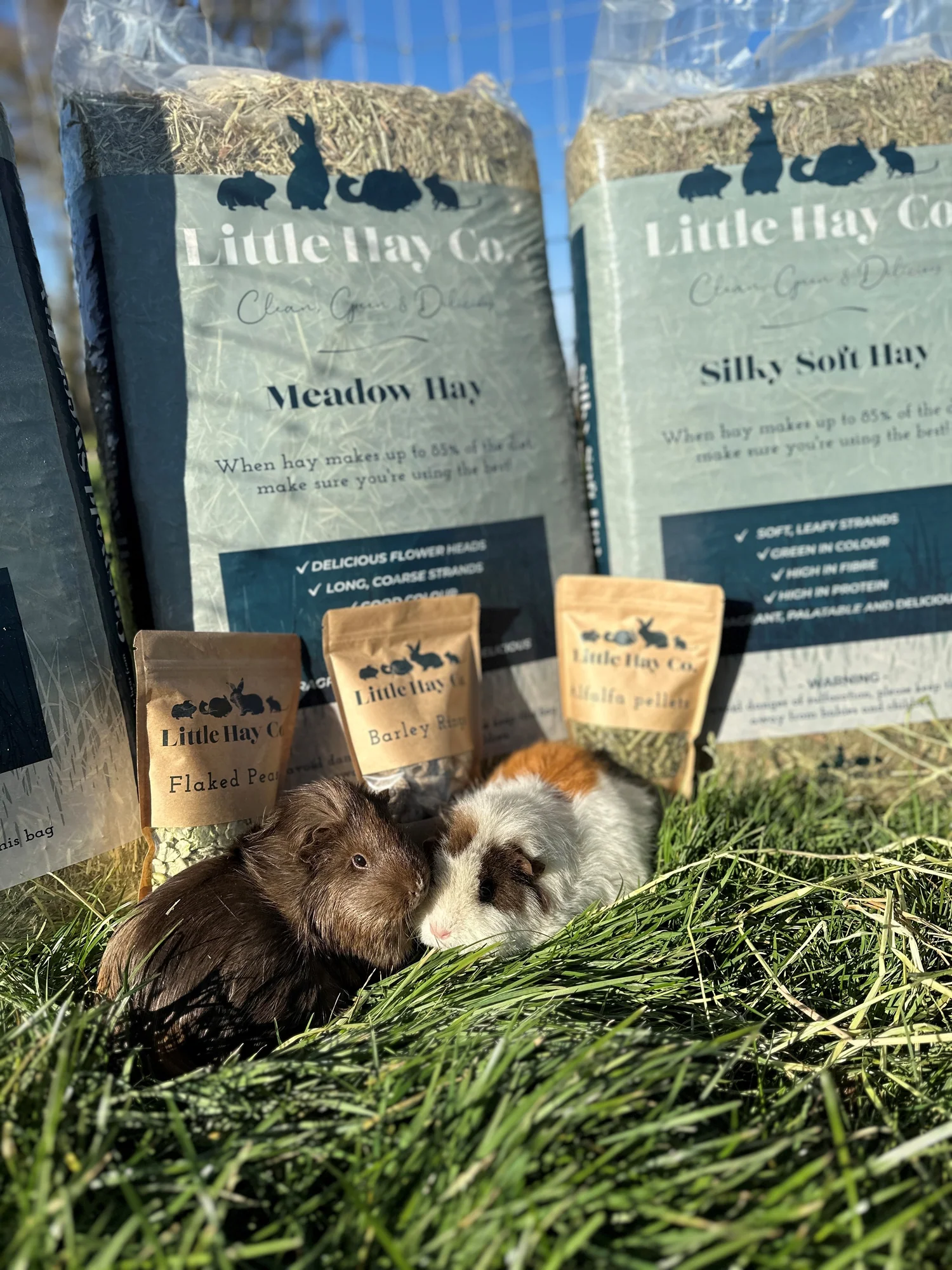 Timothy Hay Bundle